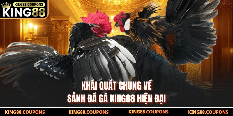 Khái quát chung về sảnh đá gà KING88 hiện đại