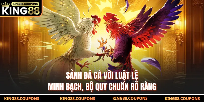 Sảnh đá gà với luật lệ minh bạch, bộ quy chuẩn rõ ràng